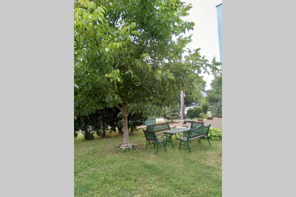 Rodinný apartmán s posedením pod košatým orechom. Trávnica Exteriér fotografie