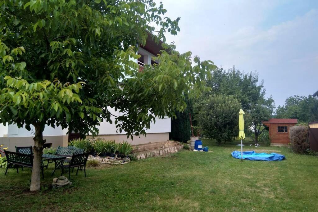 Rodinný apartmán s posedením pod košatým orechom. Trávnica Exteriér fotografie