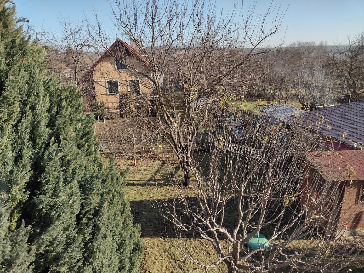 Rodinný apartmán s posedením pod košatým orechom. Trávnica Exteriér fotografie